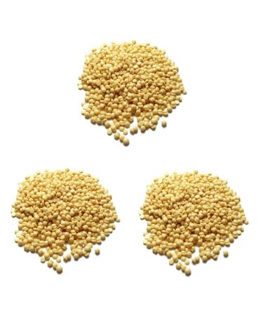 Buy Minkissy 3ST Hair Wax Pearls - Painless Hard Wax for Facial & Leg Hair Removal | Premium Quality Wax Beans - Buy Online on GoSupps.com