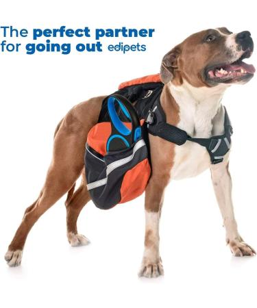 Edipets Retractable Dog Leash - Extendable 8m Flexible Band for Safe Walks | Blue Color - Buy Online on GoSupps.com