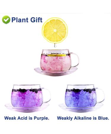 Flower 2 (100G-Black Wolfberry) - Buy Online on GoSupps.com