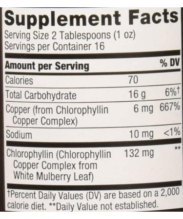 Nature's Way Chlorofresh Liquid Chlorophyll Concentrate 16 Fl. Oz - Mint Flavored | Internal Deodorant for Detoxification Pathways - Buy Online on GoSupps.com