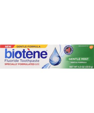 biotene Toothpaste Gentle Mint Fluoride 4.3 Oz 2 pack 4.3 Ounce (Pack of 2)