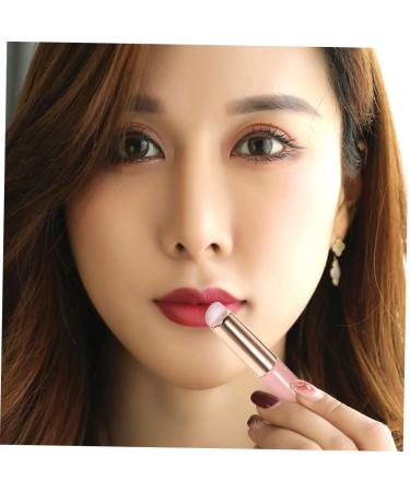 4pcs Lip Brush Set | Makeup Lip Applicator for Lip Balm & Lipstick - Pink with Cover | Ideal Women Makeup Tools - Buy Online on GoSupps.com