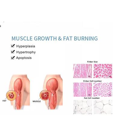 Shop Bative Shock Wave Therapy Device - 11 Massage Heads 12 Modes & Intelligent Heat for Effective Rehabilitation | International Shipping Available - Buy Online on GoSupps.com