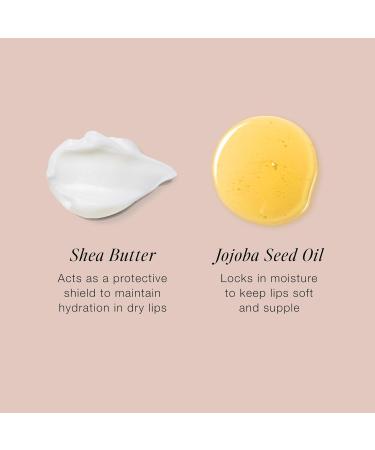 Buy Jouer Balm Bouche Demi-Matte Lip galit | Tinted Hydrating Lip Balm | Long-Lasting Matte Lip Color with Jojoba & Shea Butter - Soft Tawny Brown - International Shipping Available - Buy Online on GoSupps.com