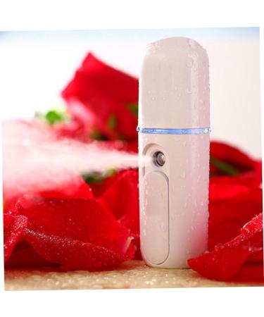 Alipis Mini Instruments De Pulv risation Pour Le Visage Pulv risateur De Brume Vapeur Instrument De Beaut Pulv risation Froide Blanc 1 Pi ce - Buy Online on GoSupps.com