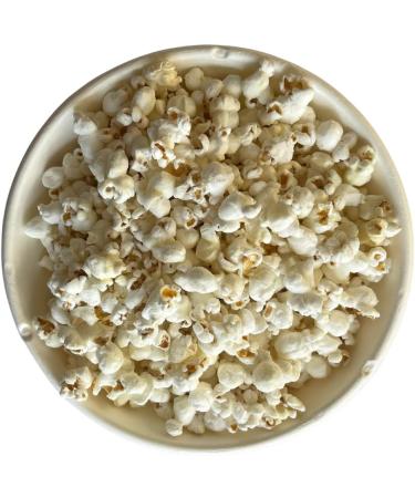 Eco247 100% Compostable Large White Bowls 32oz - 100ct | Heavy Duty Disposable Bowls | Eco-Friendly | Biodegradable Natural Sugar Cane Bagasse - Buy Online on GoSupps.com