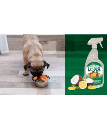 Lexx Fruit & Vegetable Wash - 100% Naturally Derived 32 fl oz Spray | Removes Dirt Wax & Enhances Flavor - Buy Online on GoSupps.com