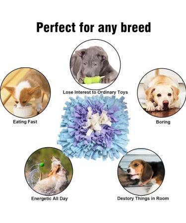 Ieuumler Sniffing Carpet for Dogs & Cats - Smell Training Mat (45x45cm Blue & Purple) - International Shipping Available - Buy Online on GoSupps.com