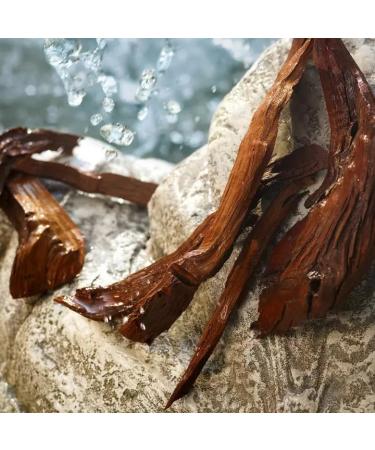 Dolce & Gabbana Light Blue Eau De Toilette Spray For Women 3.3 Fl Oz (Pack of 1) - Buy Online on GoSupps.com