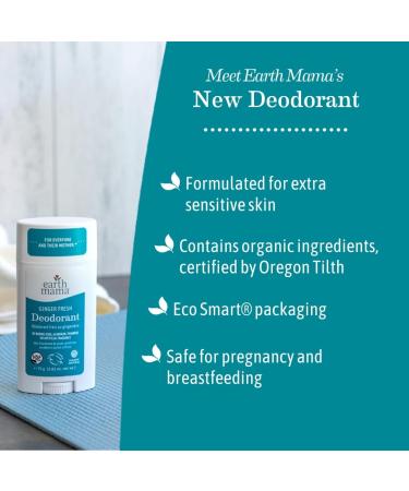 Earth Mama Ginger Fresh Deodorant | Safe for Sensitive Skin Pregnancy and Breastfeeding Contains Organic Ginger and Lime No Baking Soda or Aluminum 2.65-Ounce NEW Ginger Fresh 2.65 Fl Oz (Pack of 1) - Buy Online on GoSupps.com
