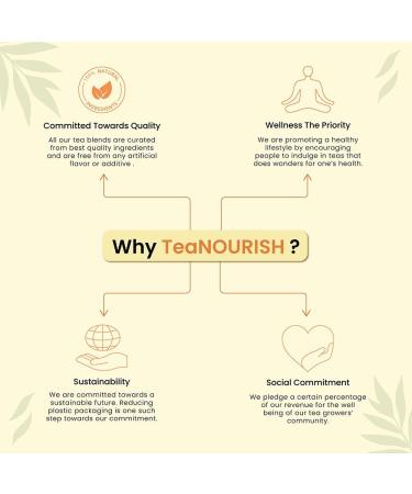 TeaNOURISH Turmeric Moringa Herbal Tea | Blend of Indian Superfoods Turmeric Moringa Ginger & Black Pepper | Supports Immunity | 100% NATURAL INGREDIENTS - 3.53oz/100g Turmeric Moringa 3.53 Ounce (Pack of 1) - Buy Online on GoSupps.com