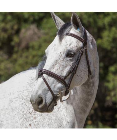 ExionPro Fancy Designer Stitched Square Raised Snaffle Noseband & Brow Band Soft Lined Cutback Mono Crown Piece Horse Bridle with Detachable Flash & Rubber Reins | English Bridle | English Horse Tack VT Leather (Advanced Rider)-Full Havana