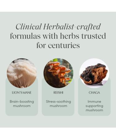 Apoth kary Mind Over Matter Cognitive Support Mushroom Powder Memory & Focus Stress Relief Herbal Supplement Sugar Free Vegan No Caffeine - Buy Online on GoSupps.com