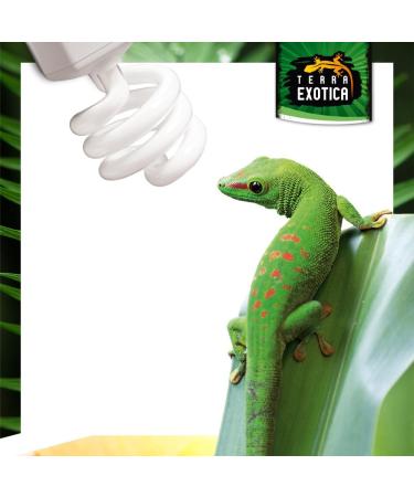 Terra Exotica Compact Jungle 5.0 UVB Lamp for Reptiles - Energy-Saving Terrarium Lighting in 2.0 5.0 8.0 10.0 UVB - Buy Online on GoSupps.com