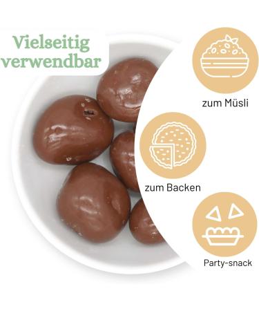  1001 Frucht 1001 Frucht Ginger Pralines chocolate coated ginger 500g ginger whole milk ginger ginger cute gift cat chocolate ginger exotic ginger pralines ginger chocolate ginger chocolate nack - Buy Online on GoSupps.com