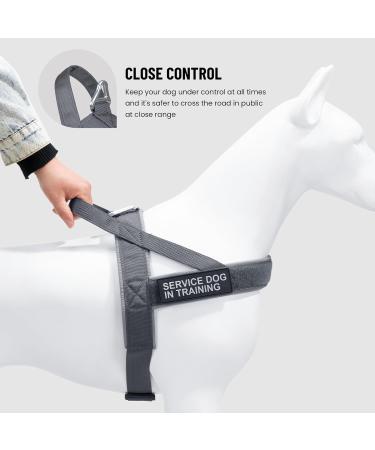 Elite Tactical Dog Dishes Vest - Adjustable Nylon for Small Medium & Large Dogs | Durable Gray XS - Buy Online on GoSupps.com