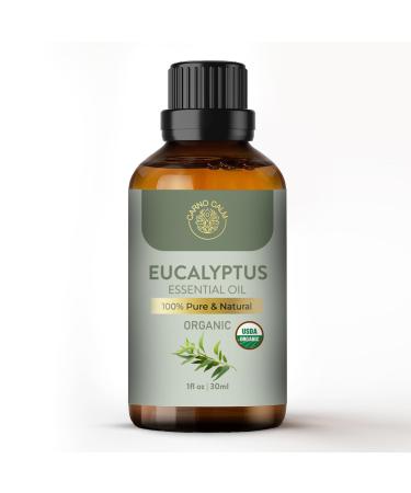 Carno Calm Eucalyptus Oil for Diffuser | 100% Pure and Natural Eucalyptus Essential Oil | for Aromatherapy Bath Humidifier Hair | 30ml Eucalyptus 30 ml (Pack of 1) - Buy Online on GoSupps.com
