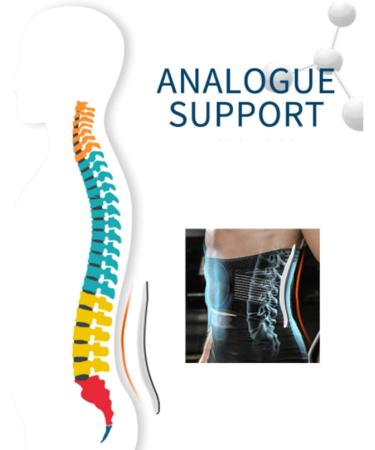 Shoyio Adjustable Back Support Belt | Lumbar Spine & Herniated Disc Support for Men & Women - Sport & Everyday Comfort - Buy Online on GoSupps.com