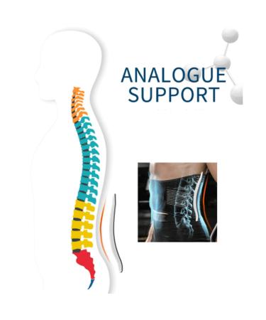 Goodluxx Adjustable Back Bandage for Men & Women - Breathable Lumbar Support Belts for Ultimate Comfort & Stability - Buy Online on GoSupps.com