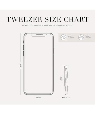 Tweezerman 40th Anniversary Mini Slant & Point Tweezer Set with Case - Precision Brow and Hair Removal Tool - Buy Online on GoSupps.com