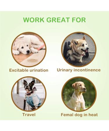 Soft Disposable Dog Diapers for Bitches | 12 Pack | High-Suction Incontinence & Heat Solution | XXS Size - Buy Online on GoSupps.com