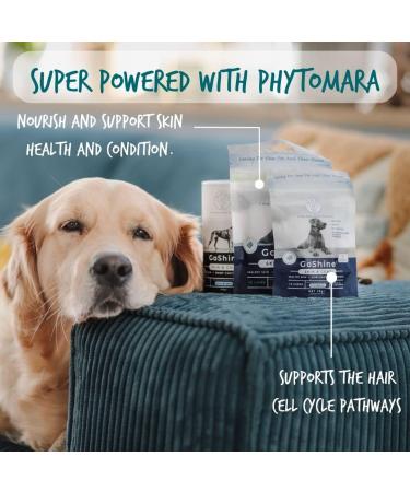 Blue Pet Co GoShine Skin & Coat Health Supplement for Dogs - 30 Chews | Promotes Healthy Skin & Shiny Coat | Enriched with Seaweed Complexes & Peanut Butter - Buy Online on GoSupps.com