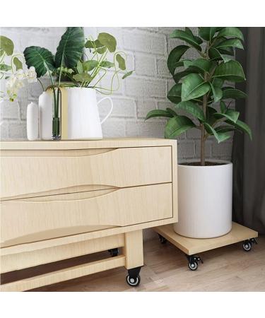 Threaded Shaft Swivel Castors Ball Castors Set of 4 Low Profile Threaded Shaft Swivel Castors Mini Swivel Castors Nylon Plastic Swivel Castors for Workbenches and Tables(2" 2Locking Casters) 2Locking Casters 2" - Buy Online on GoSupps.com