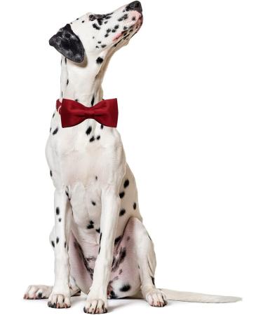 Buy Lionet Paw's Comfortable Silk Christmas Dog Collar with Removable Fly for Large Dogs - 40-60cm Neck - Red (1 Pack) - Buy Online on GoSupps.com