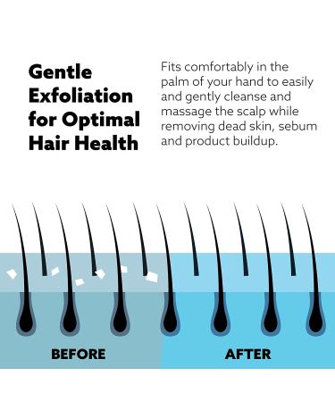 Wet Brush Exfoliating Scalp Massager - Blue Head Start Brush for Healthy & Strong Hair - Buy Online on GoSupps.com