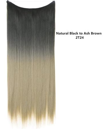 Natural wig piece one piece long straight hair high temperature silk fish line hair extension piece chenghuax (Color : 2T24 Size : 22) - Buy Online on GoSupps.com