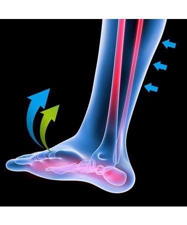 Foot Drop Orthotic Brace for Varus & Valgus - Ankle Support to Prevent Sprains & Cramps | Improved Gait | Large Size | International Shipping - Buy Online on GoSupps.com