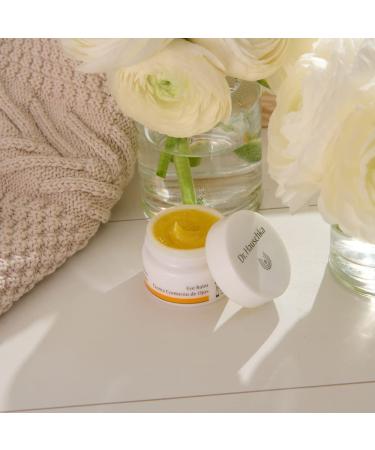 Dr. Hauschka Eye Balm 0.34 Fl Oz - Nourishing Eye Care Solution - Buy Online on GoSupps.com