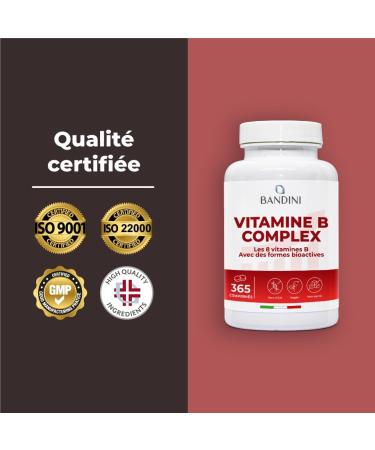Bandini Vitamine B Complex 365 Comprim s Vegan (1 An) | Vitamines group B dosage lev B1 B2 B3 B5 B6 B8 (Biotine) B9 (Acide Folique) B12 | Multivitamines B-Complex Fatigue & Immunit 365 Unit s (Blanc) - Buy Online on GoSupps.com