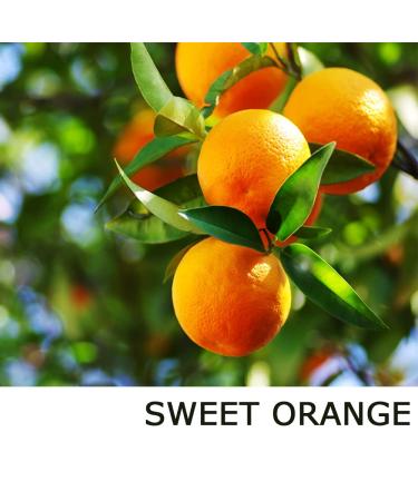 Protective Hand & Body Balm - Orange Lavender Mint & Tea Tree Oil | 2 oz - International Shipping Available - Buy Online on GoSupps.com
