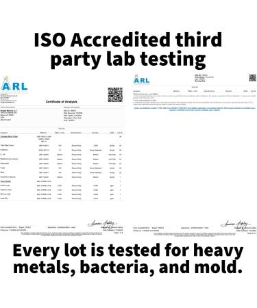 Dr. Westin Childs Thyro Fuel+ | Pea Protein Powder for Women | Thyroid Digestion & Muscle Support - Low Carb Calorie Non-GMO | Naturally Sweetened Vanilla Gluten Dairy & Soy Free - 30 Servings - Buy Online on GoSupps.com