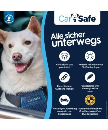 Carsafe Crash-Tested Dog Safety Dishes for Large Dogs | Secure & Comfortable | Up to 32 kg (70 lbs) - Blue - Buy Online on GoSupps.com