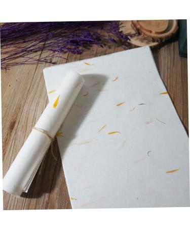 Lurrose 40 Sheet Rice Paper Cardstock Paper Ink Sumi Xuan Paper Chinese Calligraphy Hand Made Ink Painting - Buy Online on GoSupps.com