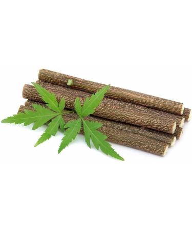 10 Neem Datun Chewing Sticks - Herbal Teeth & Tongue Cleaner | Natural Organic Twig for Tooth Decay Prevention - Buy Online on GoSupps.com