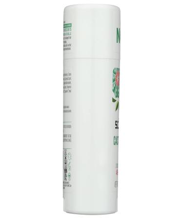 SCHMIDTS DEODORANT Cactus Flower & Pear Deodorant 2.65 OZ - Buy Online on GoSupps.com