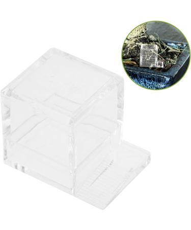 Toddmomy 4pcs Pet Water Feeder Small Ants Feeder Ants Habitat Water Feeding Ants Watering Cup Plastic - Buy Online on GoSupps.com