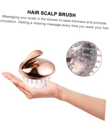 CLISPEED 2pcs Shampoo Massage Comb - Premium Hair Brush for Deep Cleansing & Scalp Treatment | Ideal for All Hair Types - International Shipping Available - Buy Online on GoSupps.com