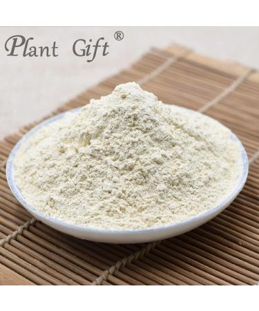 100% Pure Garlic Powder - Natural Healthy Spice for Smoothies, Cookies & Beverages - Non-GMO, No Fillers/Additives - 100g/3.25oz - Buy Online on GoSupps.com