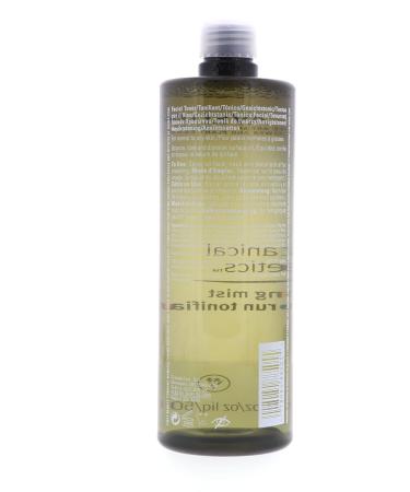 Buy Aveda BB Toning Mist 16.9 Oz - Shop Internationally for Premium Hair Care - Buy Online on GoSupps.com