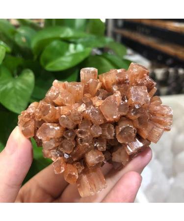 350 Grams of Natural red Aragonite Quartz Crystal Cluster Shape Rough Stone Cluster Nepheline Specimen 1 Piece Natural Decoration ERTEYIN (Size : 110-150g) - Buy Online on GoSupps.com