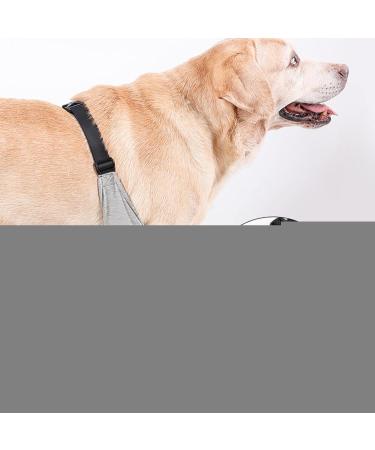 Dog Canine Front Leg Brace | Pair of Dog Leg Brace | Supportive Joint Wrap Pet Wounds Prevent Licking Bite Keep Dry Deyao Grey Small - Buy Online on GoSupps.com