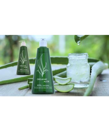 Riner 500ml Aloe Extract Dishwashing Detergent - Skin-Friendly Natural Ingredients - 1-Pack - Buy Online on GoSupps.com