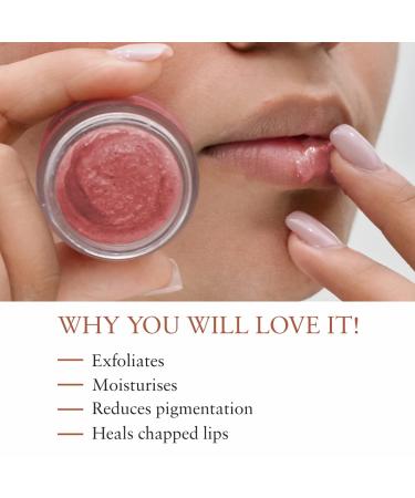 Organic Moisturizing Lip Scrub with Liquorice - SLS & Paraben Free Perfect for Dry & Chapped Lips | 15gm Rose - International Shipping Available - Buy Online on GoSupps.com