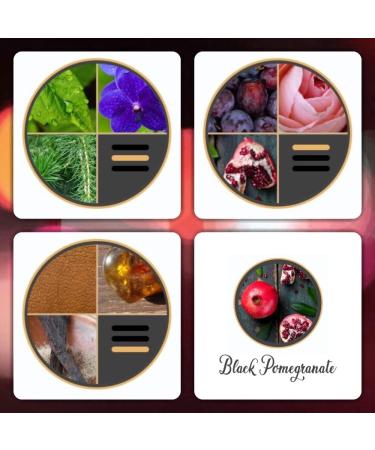 Luxx Creations - Hand Soap & Body Wash 250ml (Black Pomegranate) - Highly Fragranced Free from SLS Vegan Friendly - Buy Online on GoSupps.com