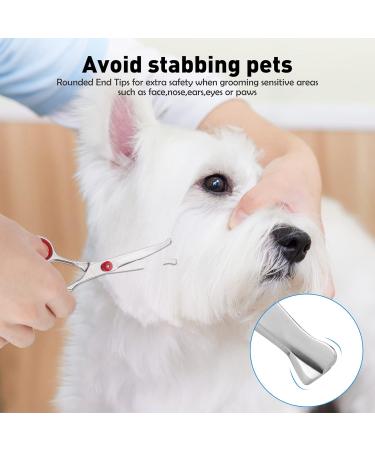 Bubuxy Dog Grooming Scissors Cat Grooming Scissors Pet Grooming Scissors with Safety Round Tip Stainless Steel Dog Cat Grooming Shears (Red Curved Scissor) - Buy Online on GoSupps.com