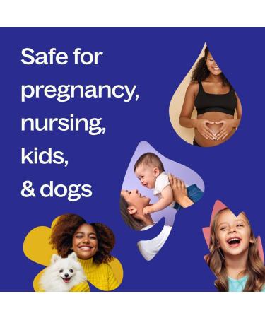 Plant Therapy Blood Orange Essential Oil 30 mL (1 oz) 100% Pure Undiluted Therapeutic Grade 1 Fl Oz (Pack of 1) - Buy Online on GoSupps.com